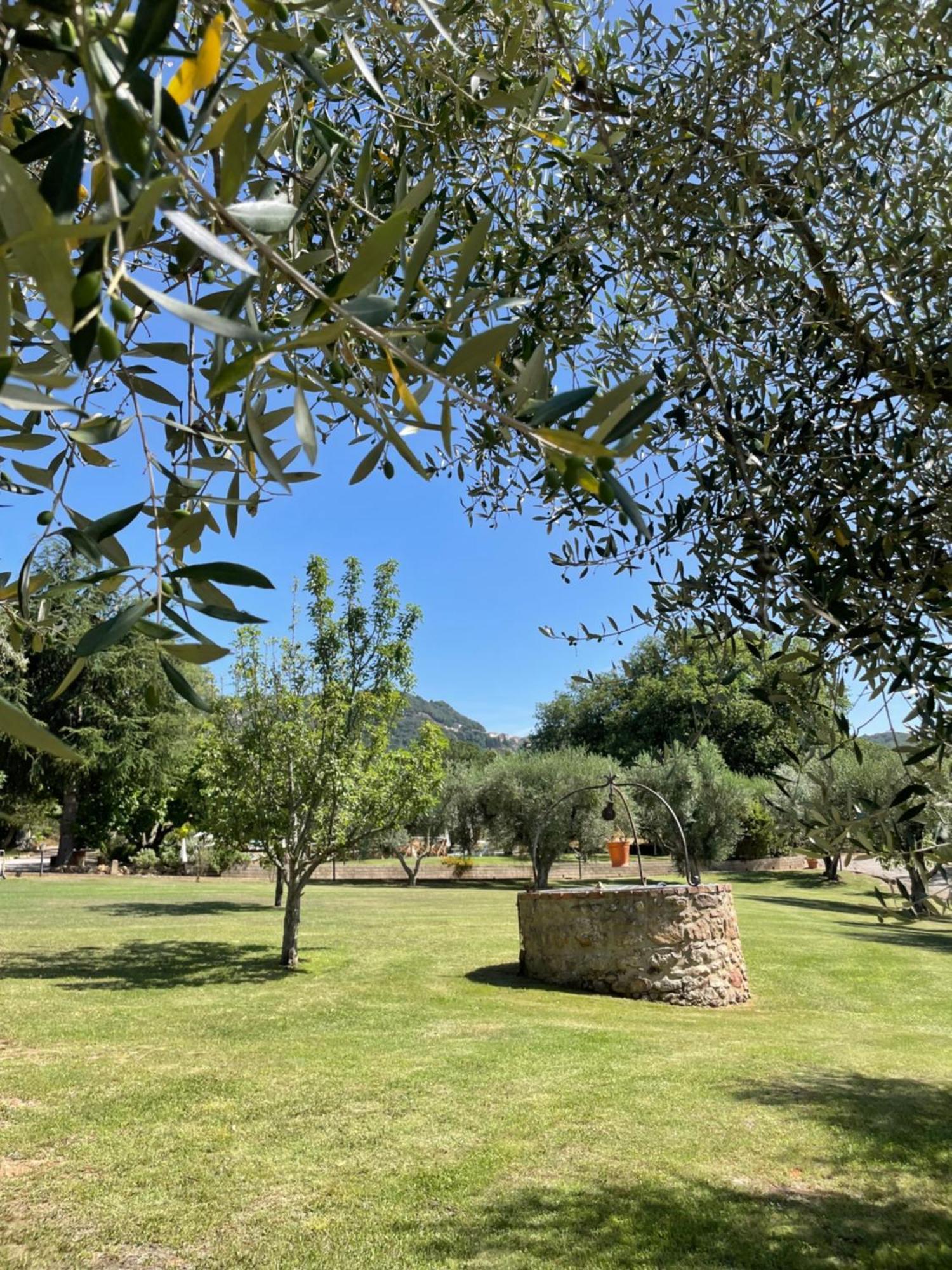 Agriturismo Podere Valdo Gavorrano Extérieur photo