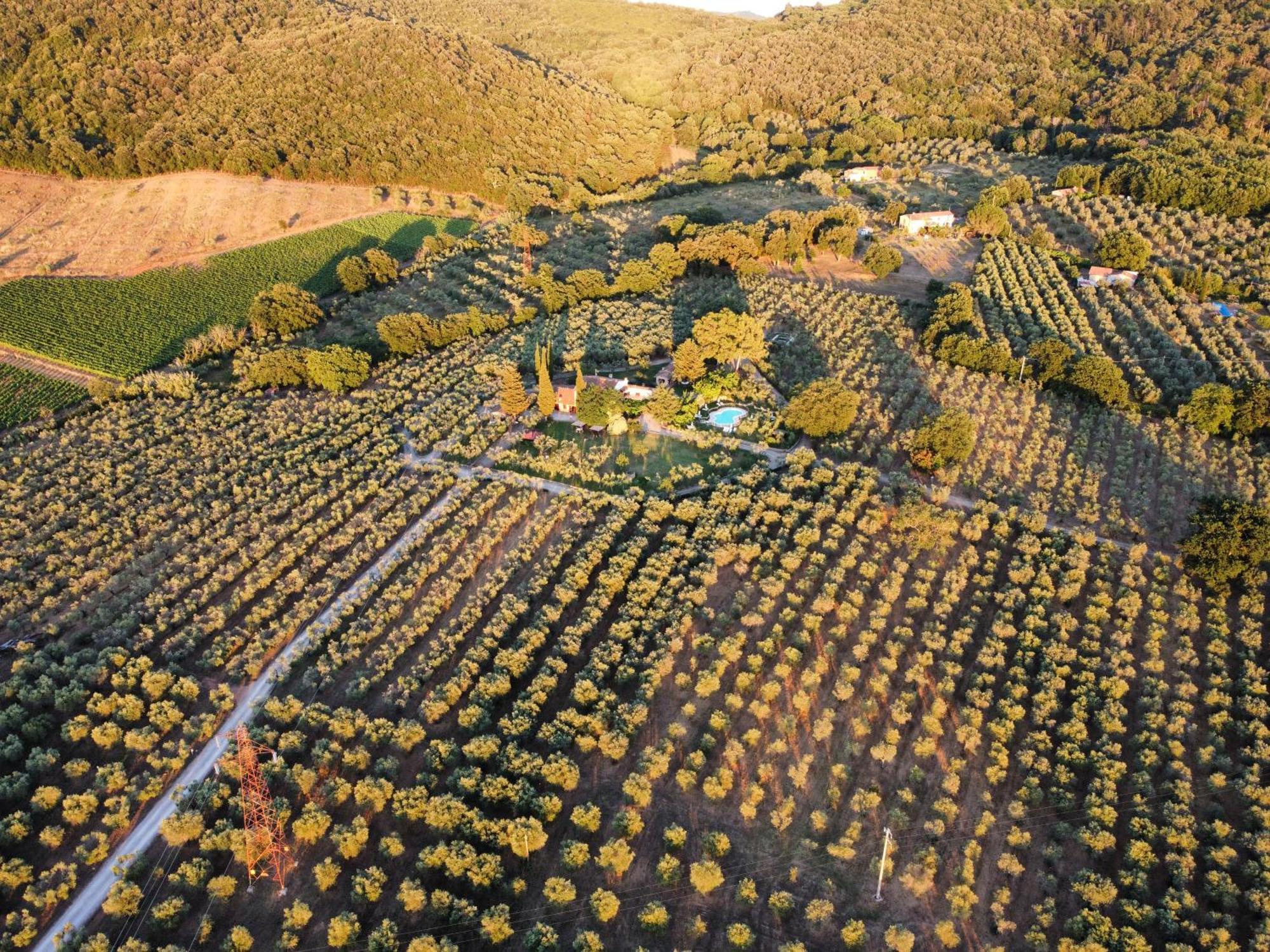 Agriturismo Podere Valdo Gavorrano Extérieur photo