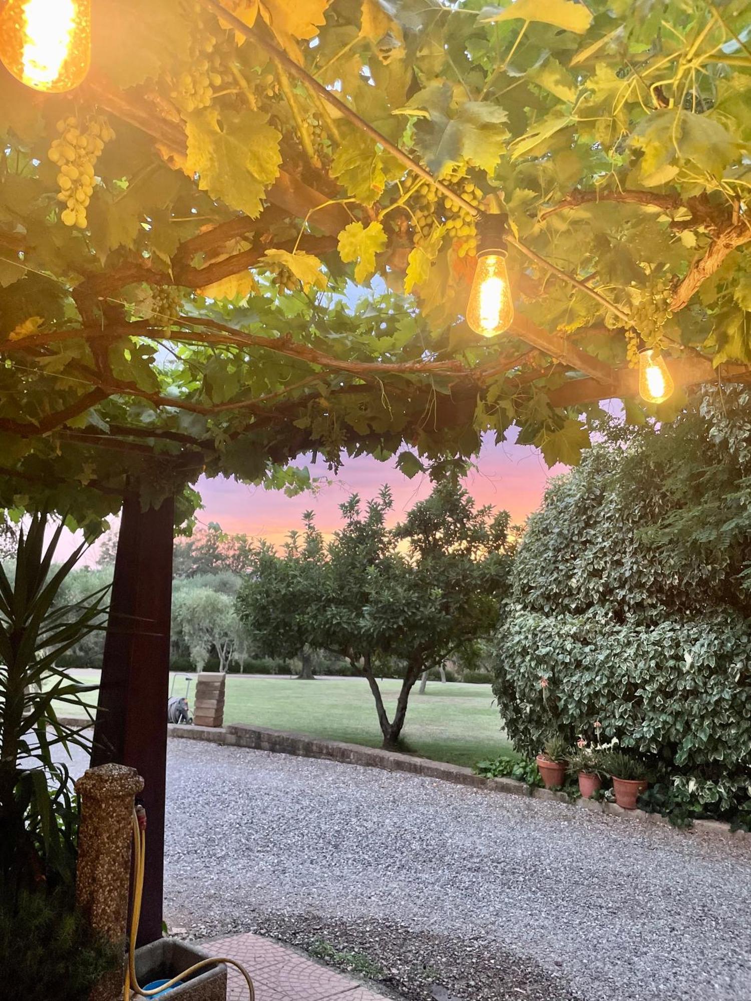 Agriturismo Podere Valdo Gavorrano Extérieur photo